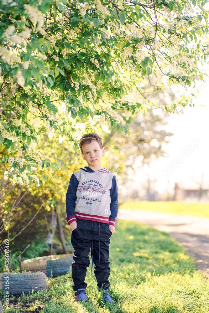 Fototapeta premium child under the bird cherry tree