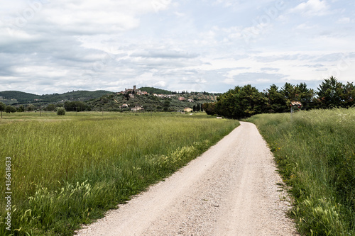 Trasimeno Lake  Italy