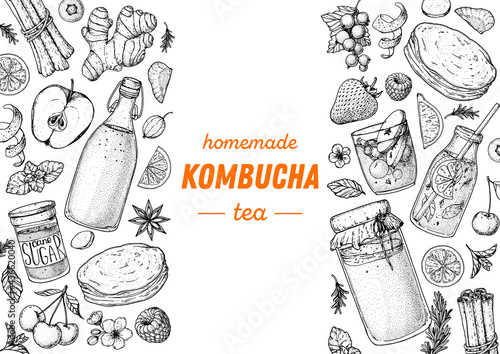 Kombucha tea and ingredients for kombucha sketch. Hand drawn vector illustration. Kombucha drink. Tea mushroom, tea fungus, or Manchurian mushroom. Homemade kombucha