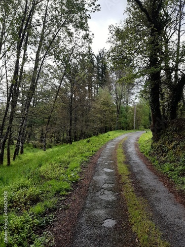 Camino rural en una aldea del interior de Galicia