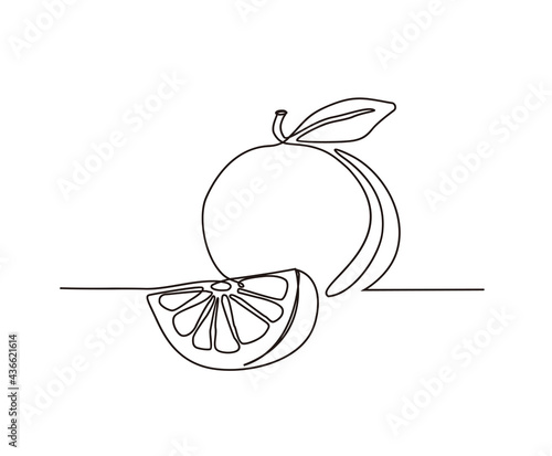 Continuous one line drawing of orange fruit. single line orange fruit and slice vector design. Hand drawn minimalism style.
