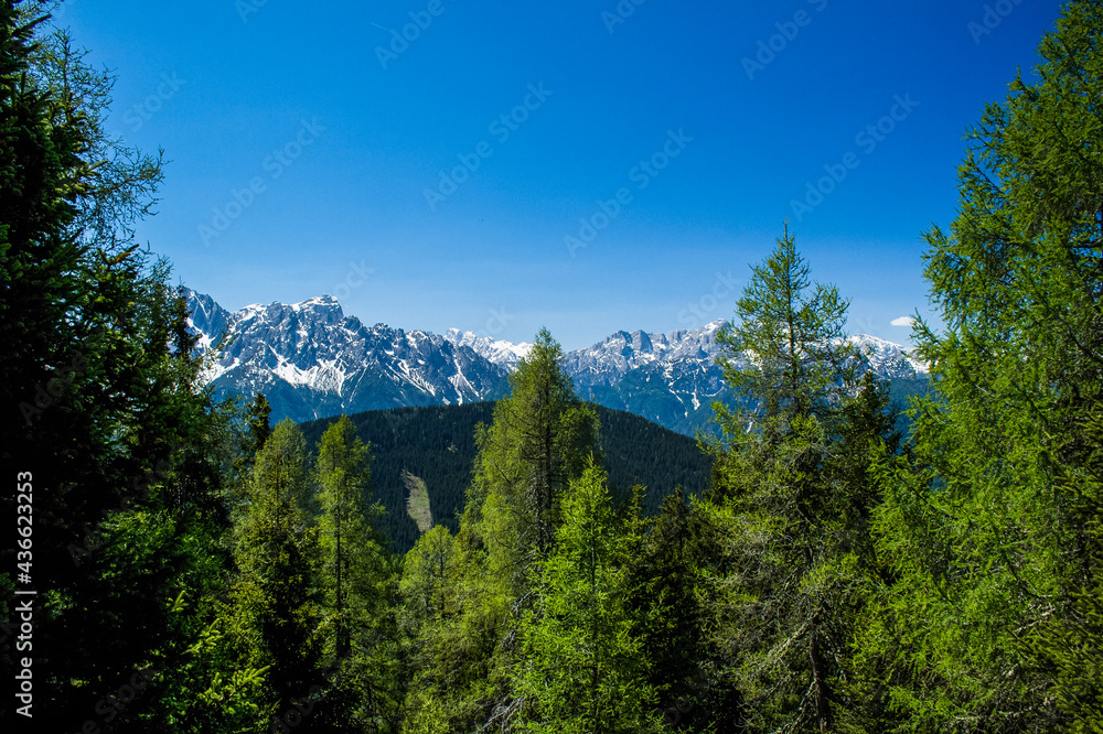 Fototapeta premium landscape with sky