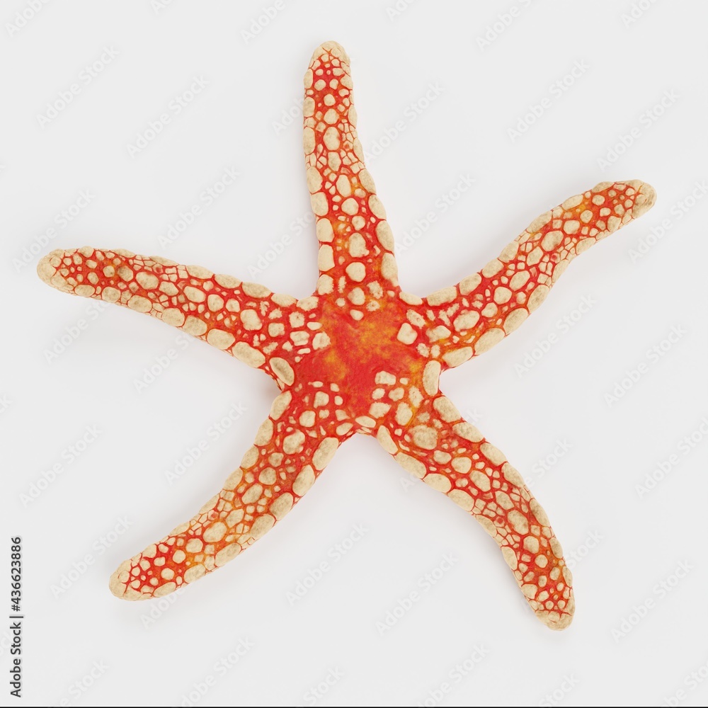 Realistic 3D Render of Necklace Starfish