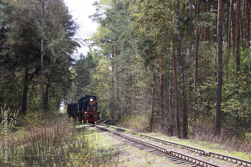 train in the wood