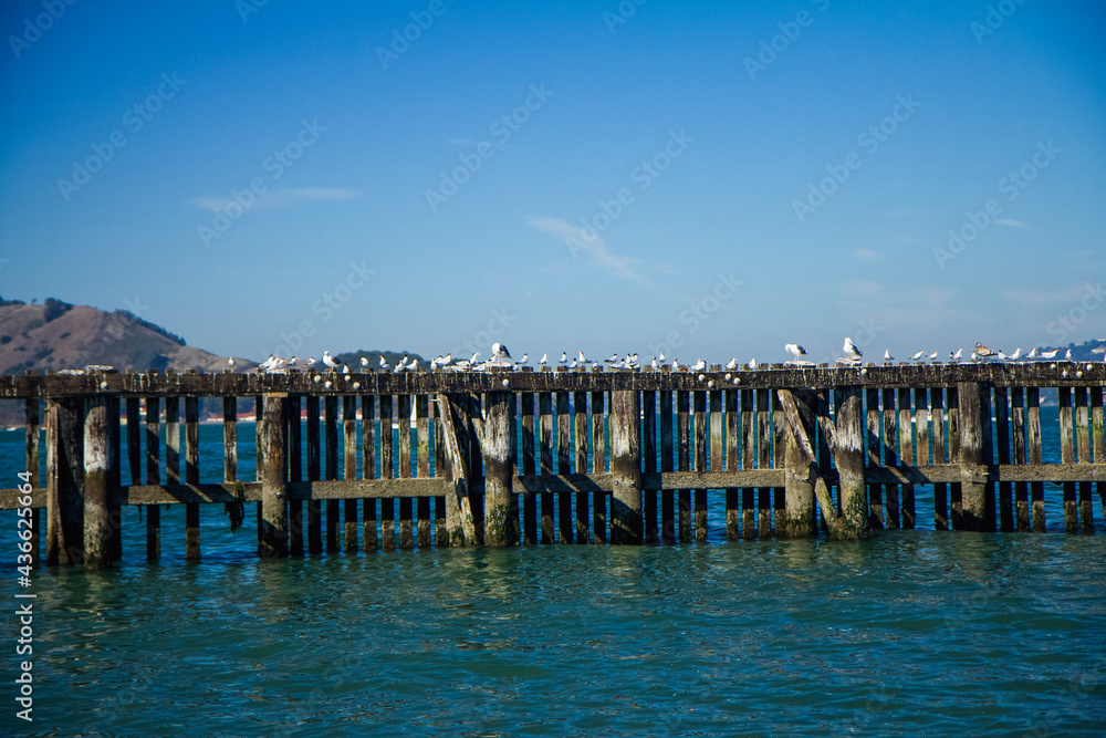 Obraz premium pier at the sea