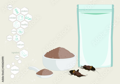 Crickets powder insects for eating as food edible processed made of cooked insect in packaging pouch bag and symbol media icon, it is good source of protein for future food and entomophagy concept.
