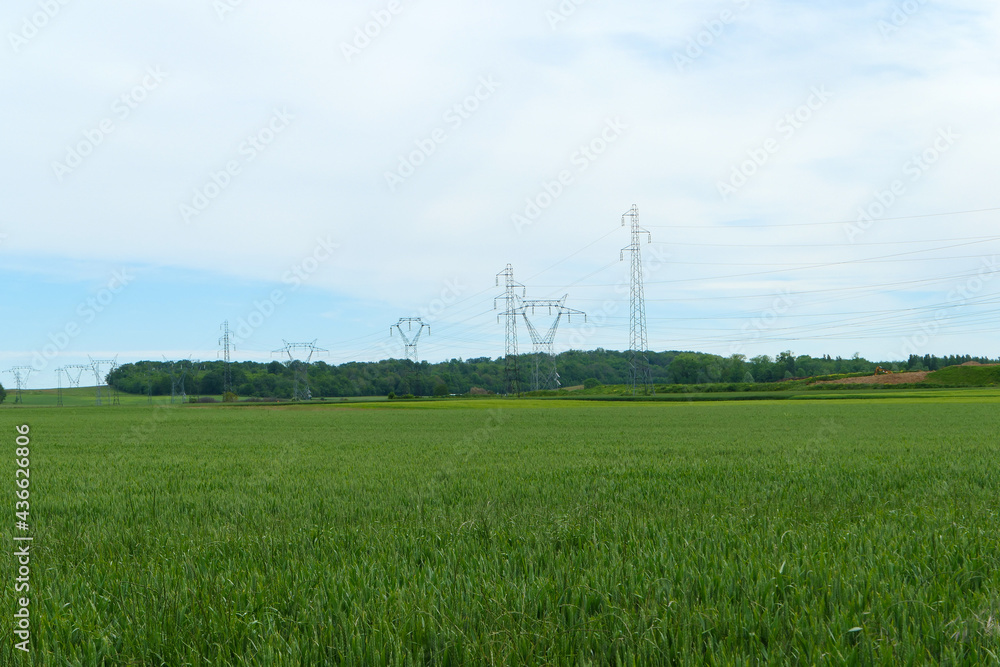 High voltage line electric pylons in the countryside in a field.