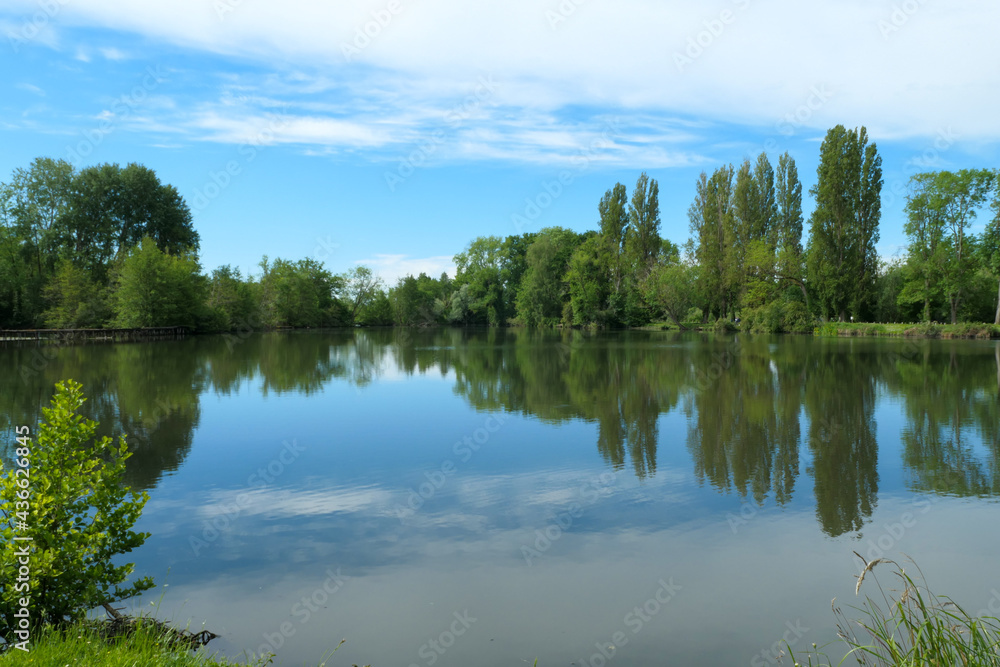 Reflection of a forest in the water. Rural scene with beautiful clouds in the sky. Landscape the day at summer or spring. Lush vegetation.	