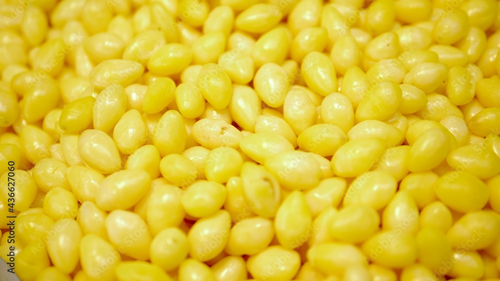 Boiled ginkgo nuts for background, yellow seeds good for medicine. Boiled ginkgo nuts for background, yellow seeds good for medicine.