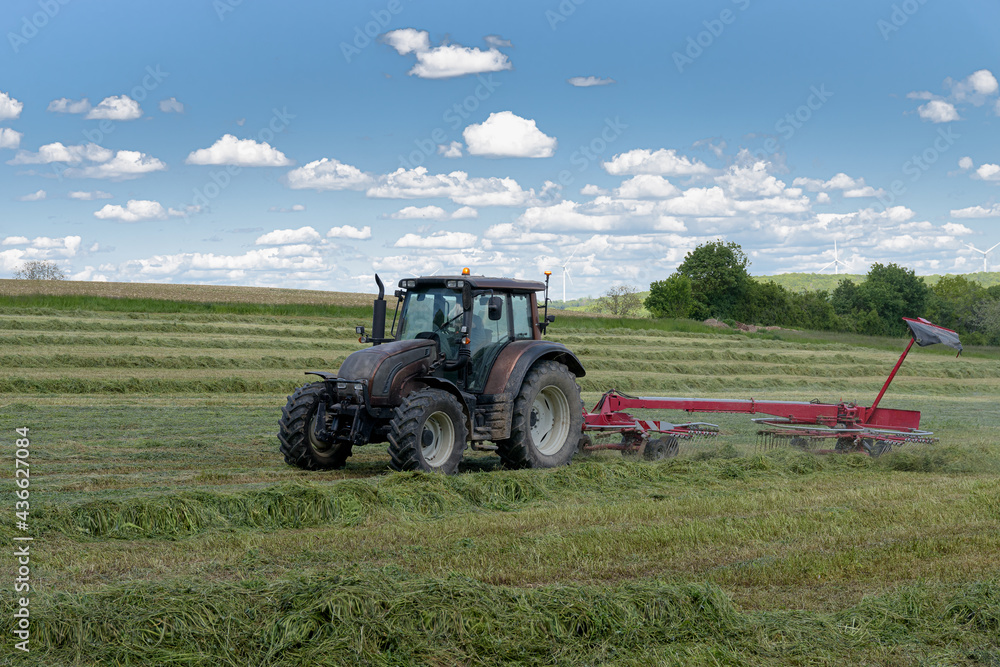 Fototapeta premium tracteur agricole rassemblant l'herbe sur le pré
