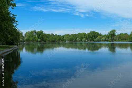 Reflection of a forest in the water. Rural scene with beautiful clouds in the sky. Landscape the day at summer or spring. Lush vegetation. 