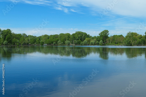 Reflection of a forest in the water. Rural scene with beautiful clouds in the sky. Landscape the day at summer or spring. Lush vegetation. 