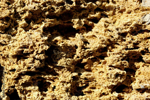 Crimean coquina rock close up texture background