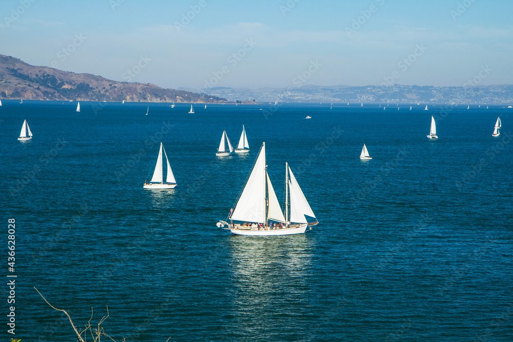 Naklejka premium sailing on the sea