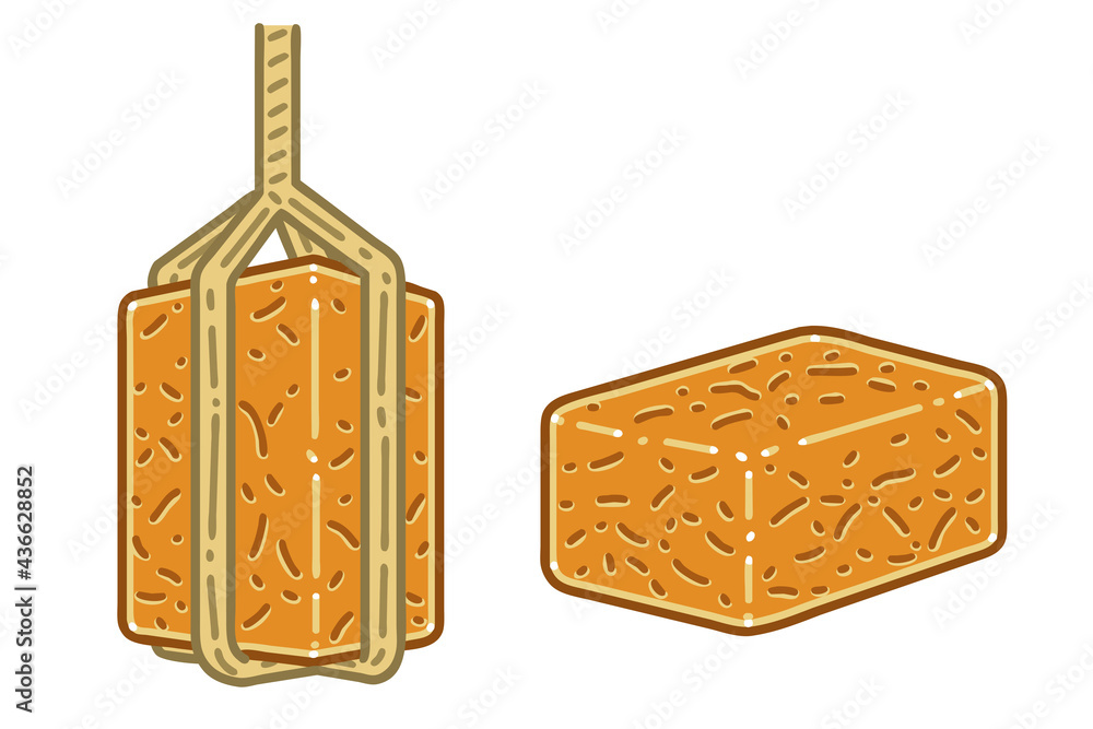 Meju.This is a brick of dried fermented soybeans. Vector illustratios set.