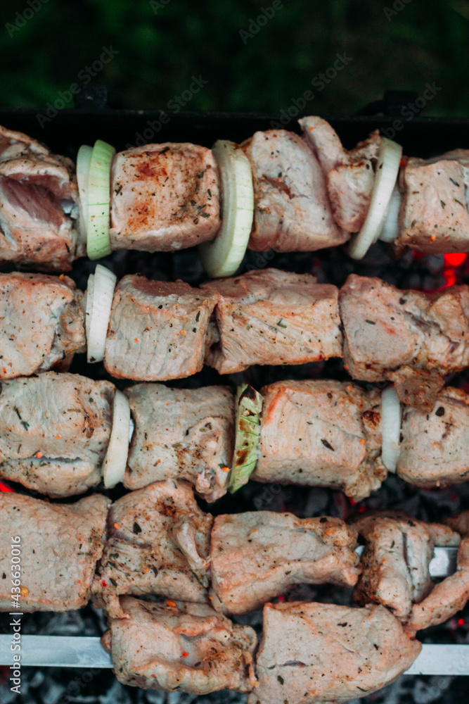 Meat on skewers on the grill. Barbecue cooking Meat on skewers on the grill. Barbecue cooking