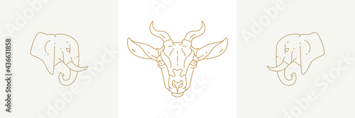 Canvas Print Heads of elephants and goat in linear style vector illustrations set