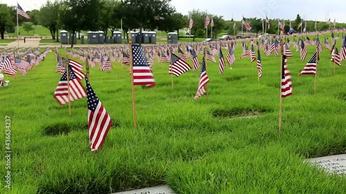 Wallpaper Mural Flag decorations in National Cemetery on Memorial Day Holiday Torontodigital.ca
