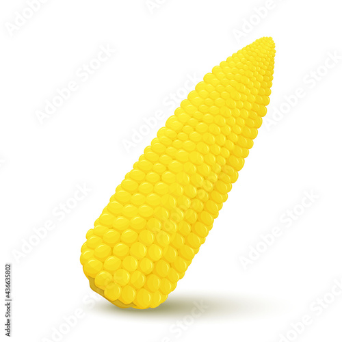 Cartoon corn. Golden maize harvest, popcorn corny grains and sweet corn. Ear of corn, delicious vegetables or corns cob, isolated vector icon