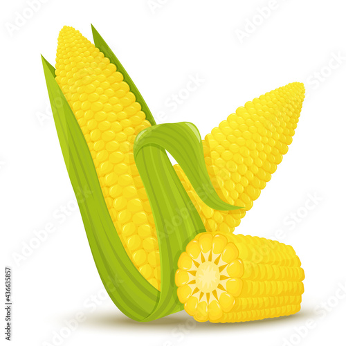 Cartoon corn. Golden maize harvest, popcorn corny grains and sweet corn. Ear of corn, delicious vegetables or corns cob. Agriculture meal harvesting isolated vector illustration icons set