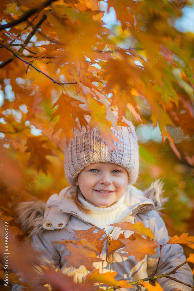 baby girl in autumn park playing with leaves baby girl in autumn park playing with leaves