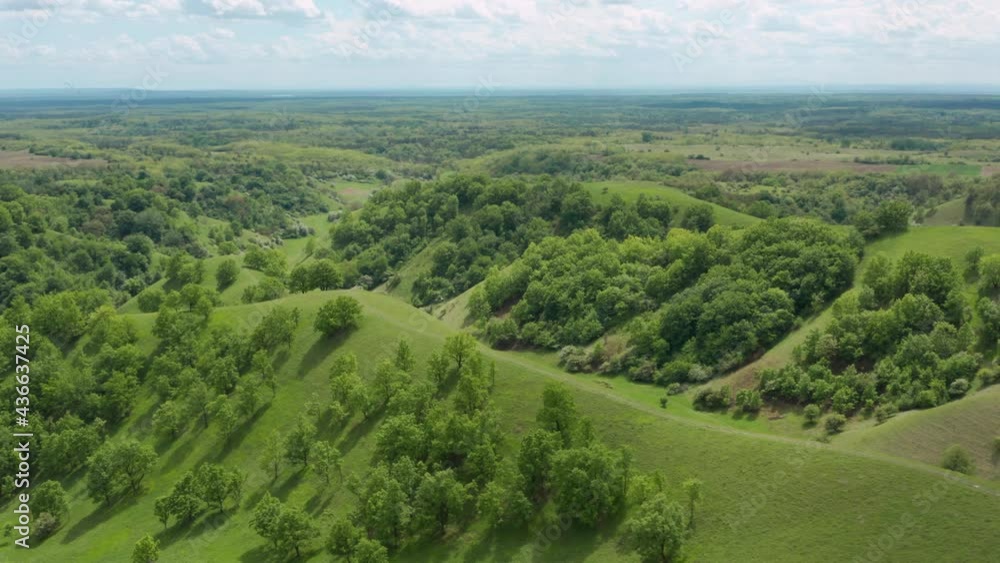 Panorama Of Green Hills With Trees At Deliblato Sands In Vojvodina, Serbia. - aerial Panorama Of Green Hills With Trees At Deliblato Sands In Vojvodina, Serbia. - aerial