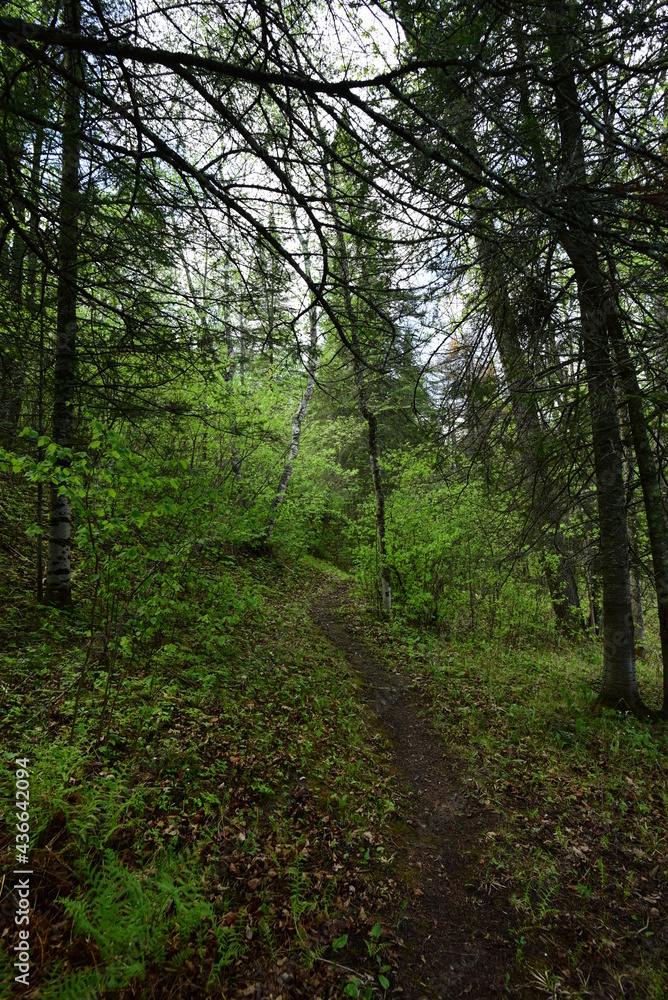 Obraz premium Franz-Jevne State Park 