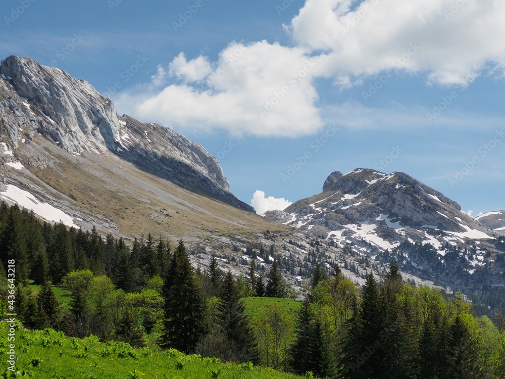 Obraz premium falaises et névés en Vercors
