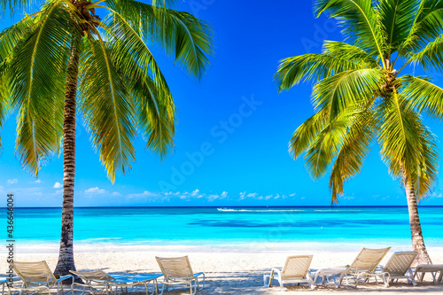 Coconut palm trees with sunloungers on the caribbean tropical beach. Saona Island, Dominican Republic. Vacation travel background © Nikolay N. Antonov