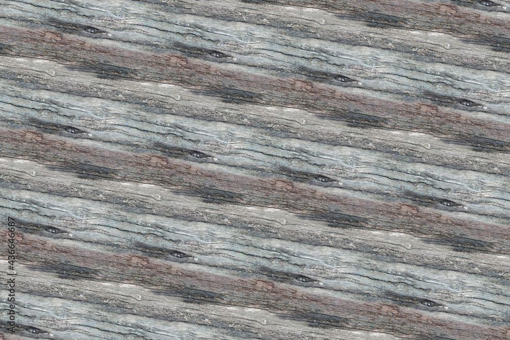wood bark pattern texture backdrop wood bark pattern texture backdrop