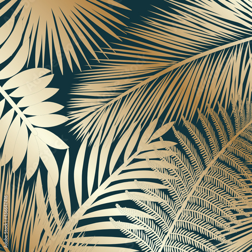 palm leaves background