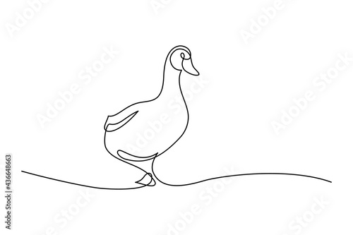 Duck in continuous line art drawing style. Abstract duck walking minimalist black linear sketch isolated on white background. Vector illustration