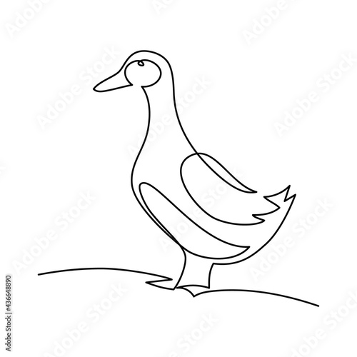 Duck in continuous line art drawing style. Minimalist black linear sketch isolated on white background. Vector illustration