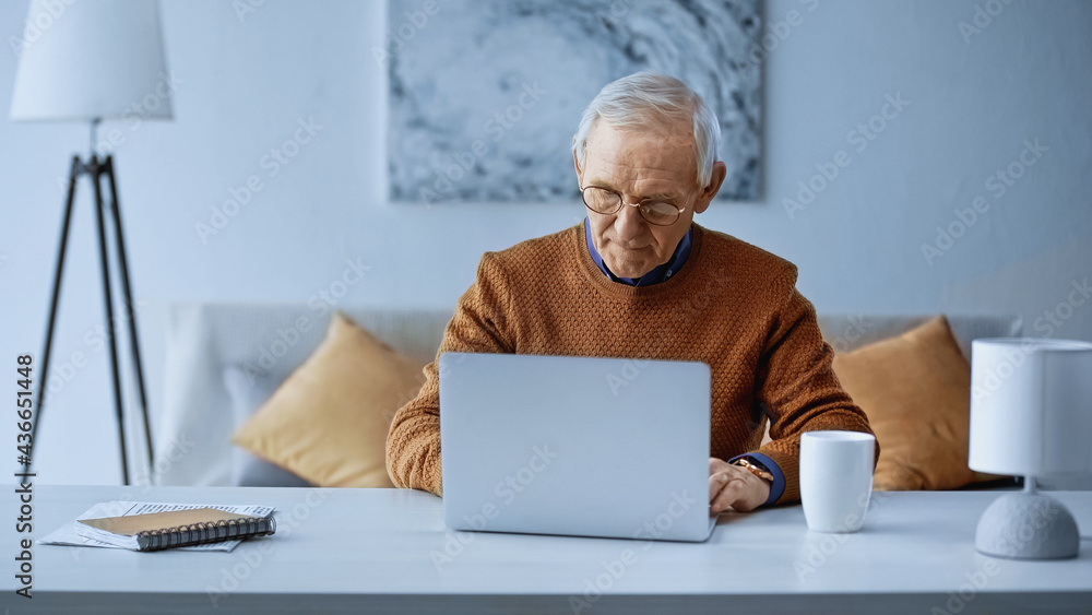 concentrated elderly man working on laptop in modern living room. concentrated elderly man working on laptop in modern living room.