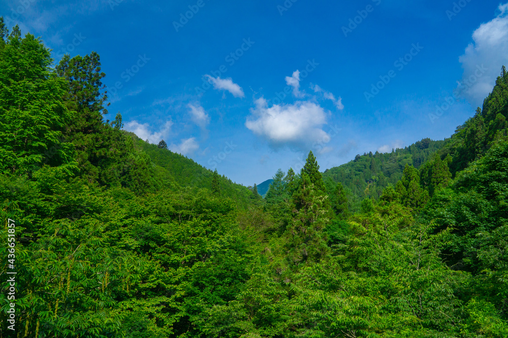 山　青空　緑　風景