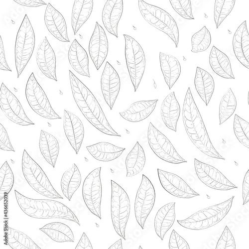Coca Leaves Drawing Vector Seamless Pattern