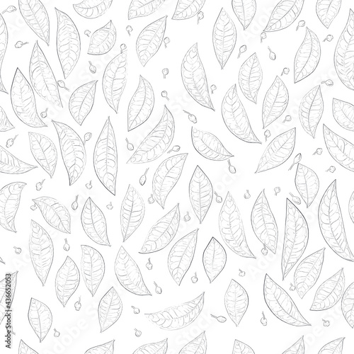 Coca Leaves Drawing Vector Seamless Pattern