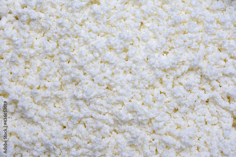 Background of milk curd for baking, close-up Background of milk curd for baking, close-up