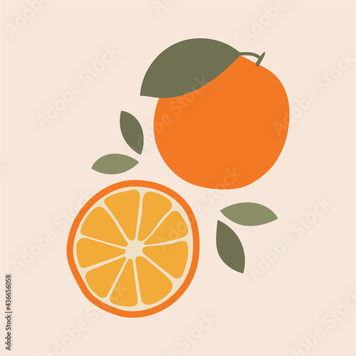 Wall decoration vector set. Abstract art image of fruits in pastel colors. Abstract Art designs for prints, covers, wallpapers, wall art. Minimal and natural. Vector illustration.