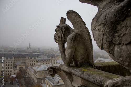 Notre Dame © FrancoAntonio