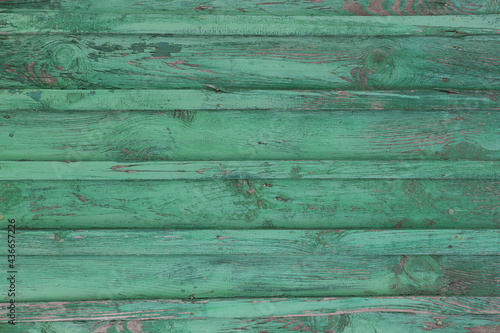 Old wooden wall from green scratched planks. 