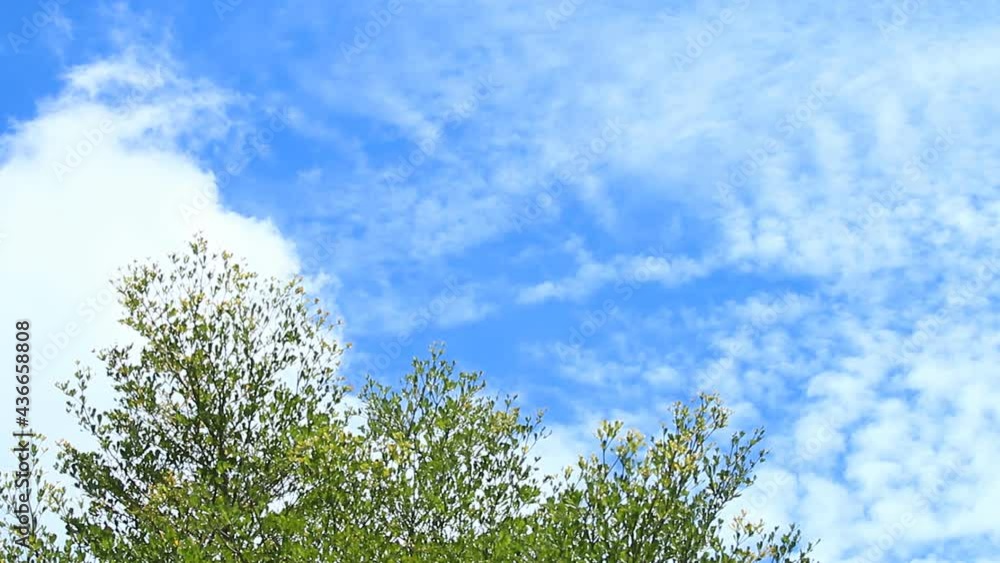 cloud moving in the sky, Chiangmai Thailand cloud moving in the sky, Chiangmai Thailand