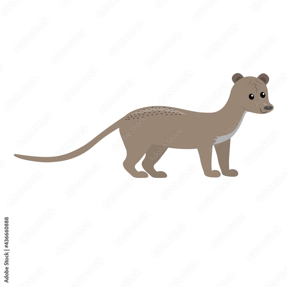 cute cartoon flat fossa, madagascar animal, vector isolated on white, illustration for kids