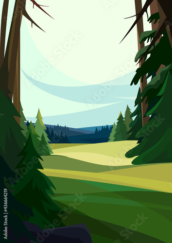 Beautiful coniferous forest. Nature landscape in vertical orientation.