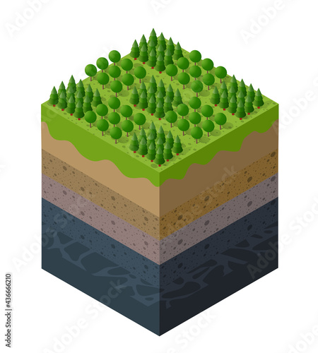 Forest farm Soil layers geological and underground