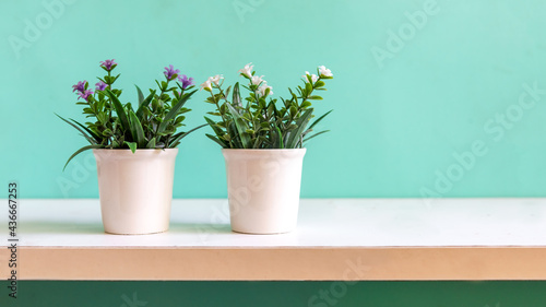 Green wall with flower on shelf white wood for interior at home. copy space for banner text. Still life and Lifestyle Concept