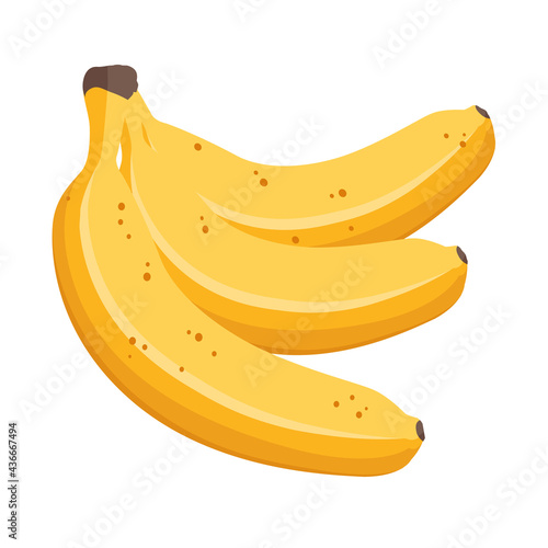 Cartoon vector illustration isolated object food fruit banana