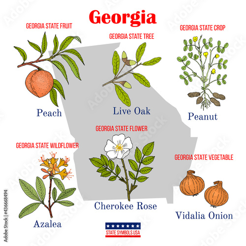 Georgia. Set of USA official state symbols