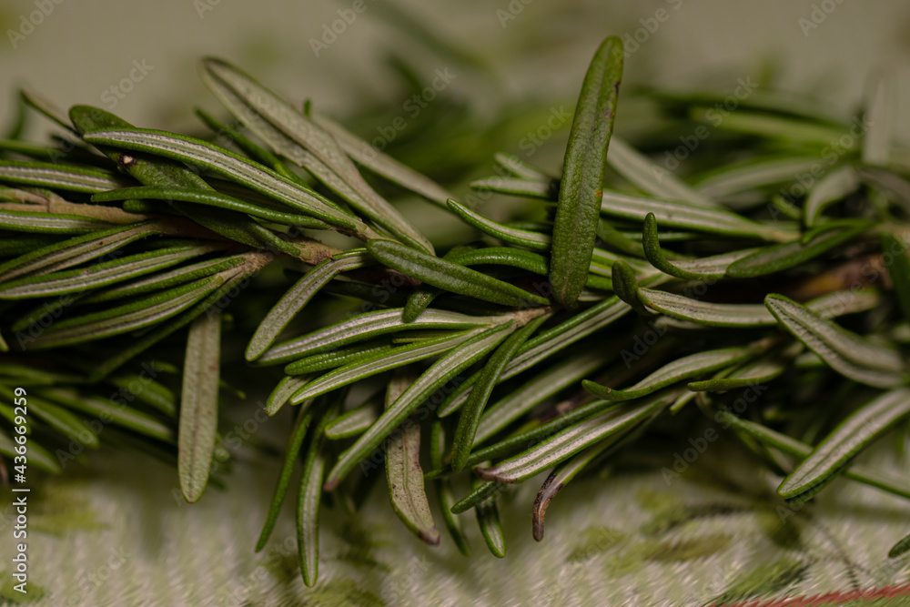 Rosemary leaves on a cutting board Rosemary leaves on a cutting board