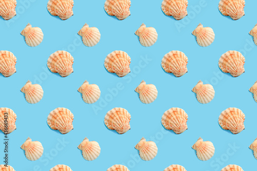 Colorful pattern seashells on a blue background. Summer pattern.